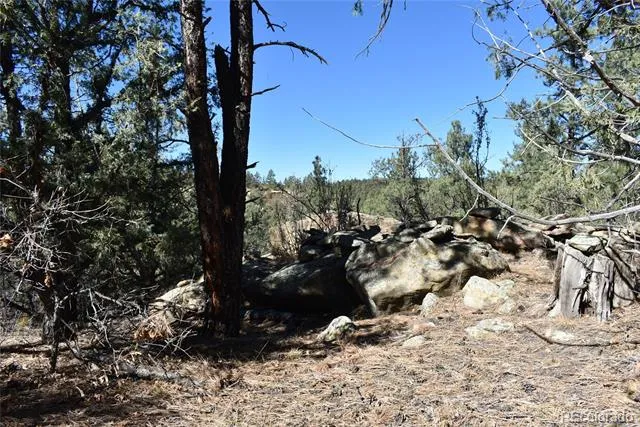 268-269 RANCHO LA GARITA FILING NO-8, Weston, CO 81091