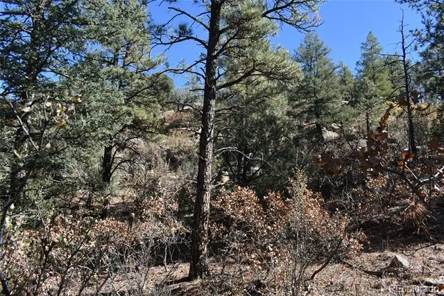 268-269 RANCHO LA GARITA FILING NO-8, Weston, CO 81091
