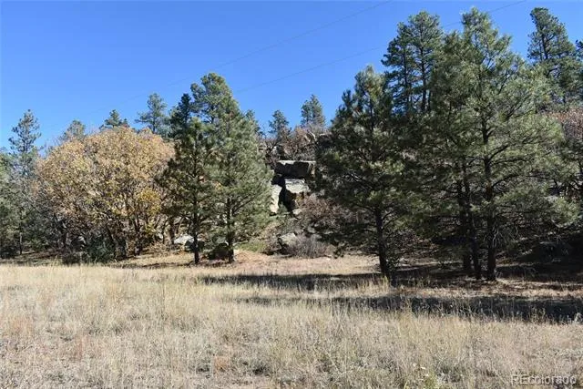 268-269 RANCHO LA GARITA FILING NO-8, Weston, CO 81091