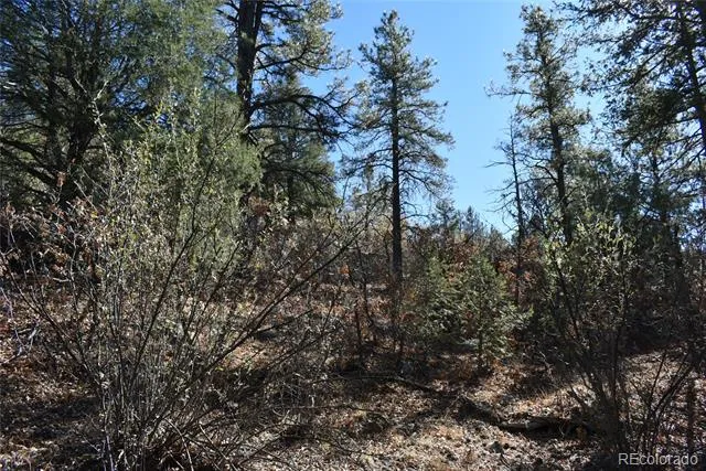 268-269 RANCHO LA GARITA FILING NO-8, Weston, CO 81091