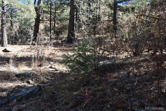 268-269 RANCHO LA GARITA FILING NO-8, Weston, CO 81091