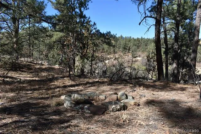 268-269 RANCHO LA GARITA FILING NO-8, Weston, CO 81091