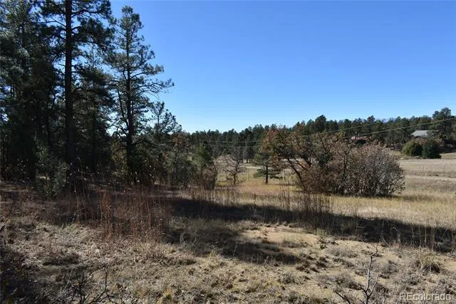 268-269 RANCHO LA GARITA FILING NO-8, Weston, CO 81091