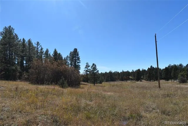268-269 RANCHO LA GARITA FILING NO-8, Weston, CO 81091