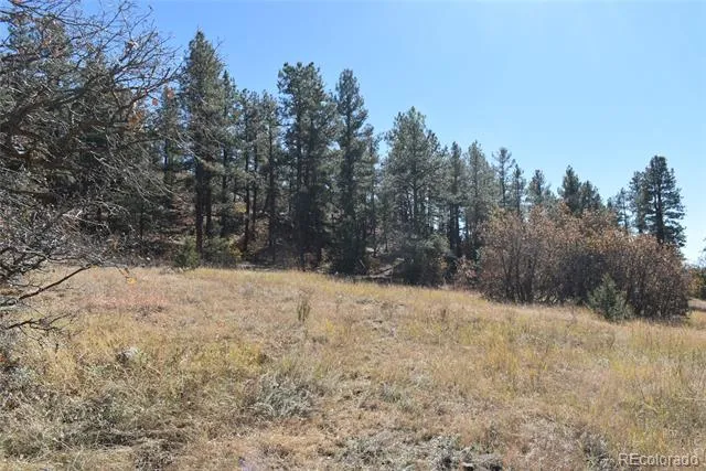 268-269 RANCHO LA GARITA FILING NO-8, Weston, CO 81091