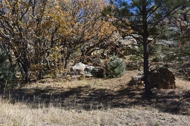 268-269 RANCHO LA GARITA FILING NO-8, Weston, CO 81091