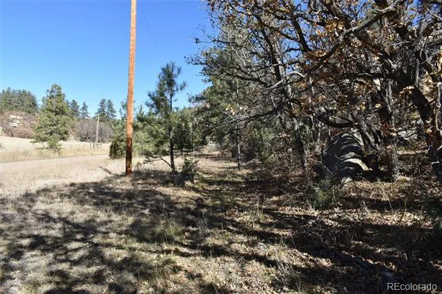 268-269 RANCHO LA GARITA FILING NO-8, Weston, CO 81091