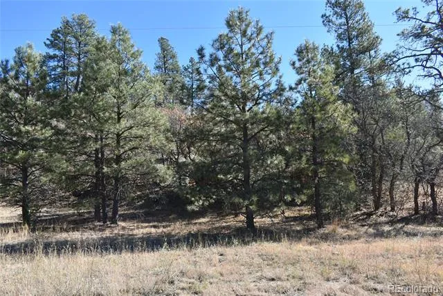 268-269 RANCHO LA GARITA FILING NO-8, Weston, CO 81091