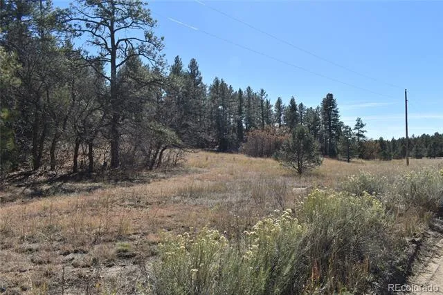 268-269 RANCHO LA GARITA FILING NO-8, Weston, CO 81091
