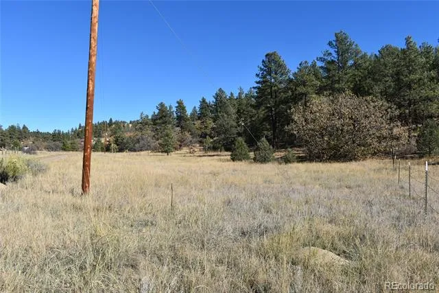 268-269 RANCHO LA GARITA FILING NO-8, Weston, CO 81091