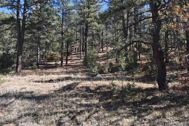 268-269 RANCHO LA GARITA FILING NO-8, Weston, CO 81091