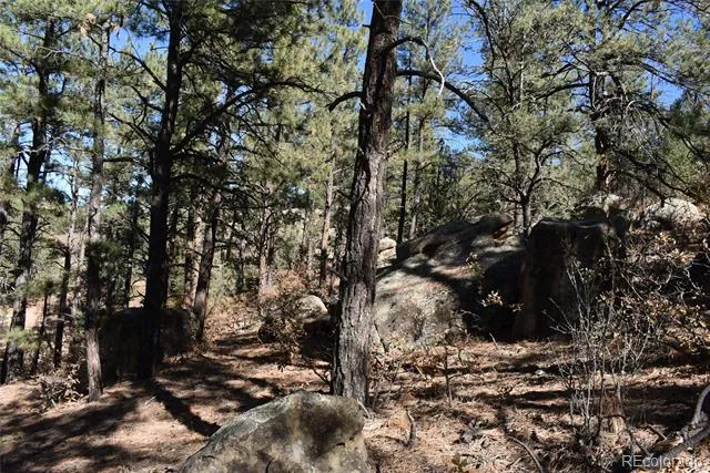 268-269 RANCHO LA GARITA FILING NO-8, Weston, CO 81091