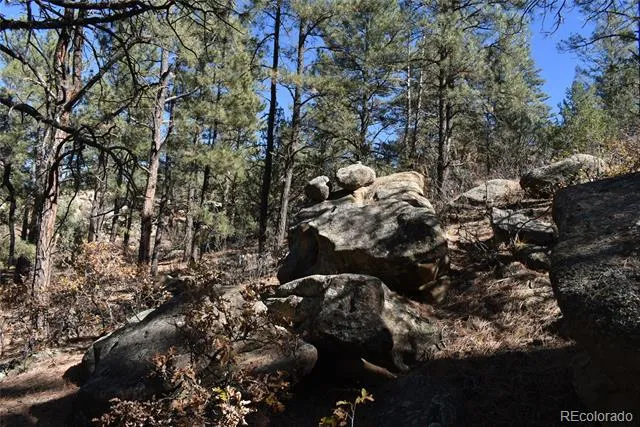 268-269 RANCHO LA GARITA FILING NO-8, Weston, CO 81091