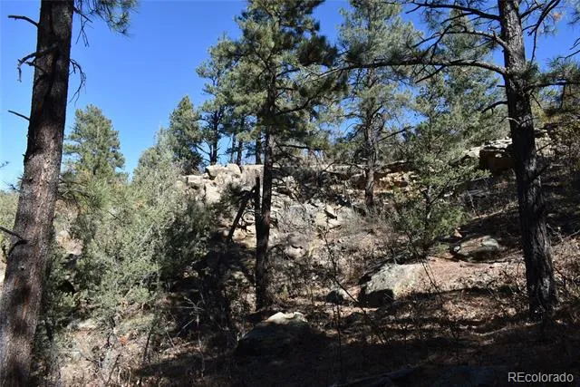 268-269 RANCHO LA GARITA FILING NO-8, Weston, CO 81091