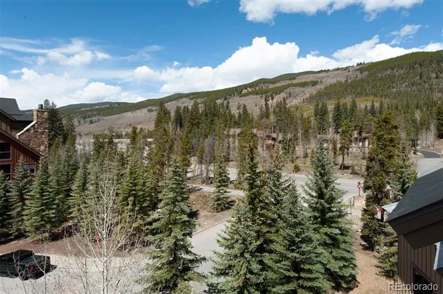 20 Hunki Dori Court #2312 Dillon, CO 80435