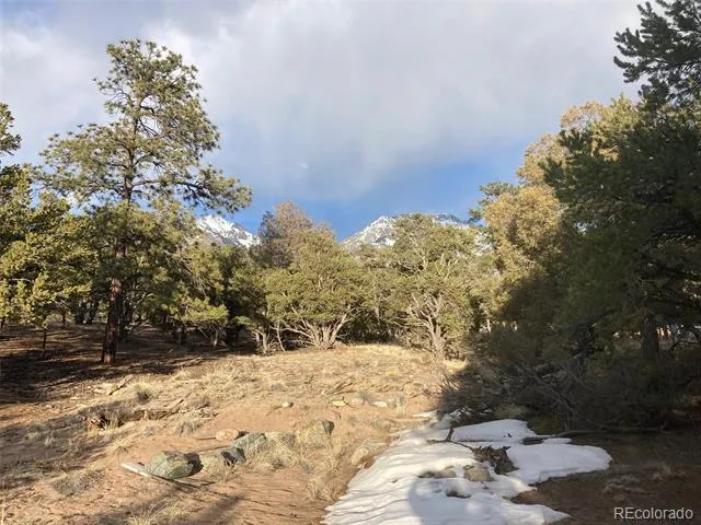 745 Cliffwood Crestone, CO 81131
