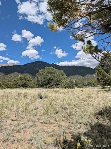 3213 Enchanted Court Crestone, CO 81131