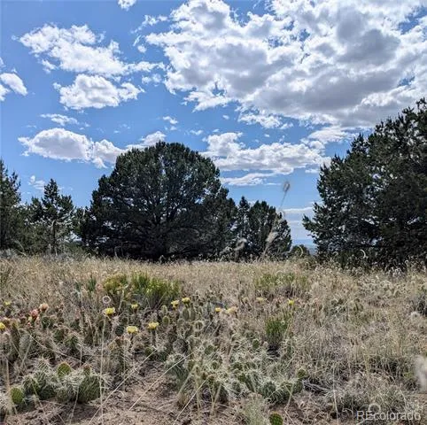 3213 Enchanted Court Crestone, CO 81131