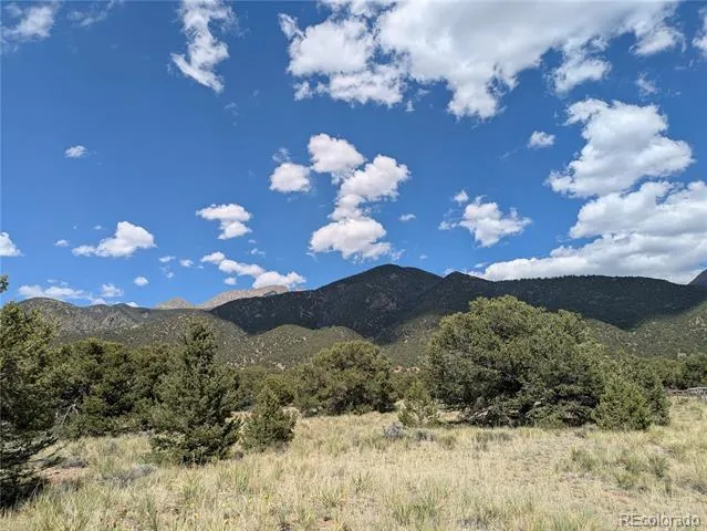 3213 Enchanted Court Crestone, CO 81131