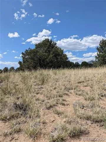3213 Enchanted Court Crestone, CO 81131