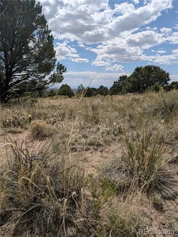 3213 Enchanted Court Crestone, CO 81131
