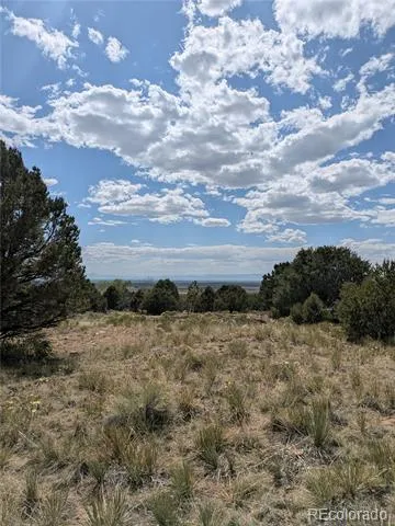 3213 Enchanted Court Crestone, CO 81131