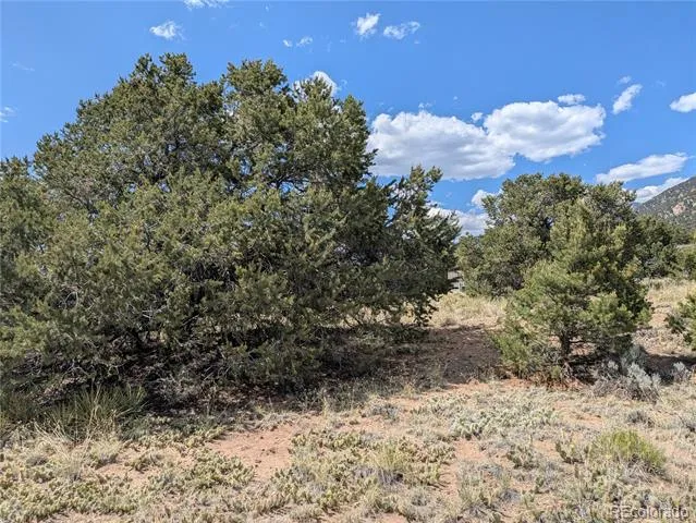 3213 Enchanted Court Crestone, CO 81131