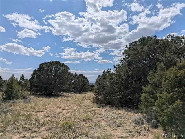 3213 Enchanted Court Crestone, CO 81131