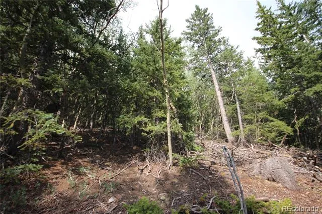 Lot 6573 Ackerman Road San Luis, CO 81152