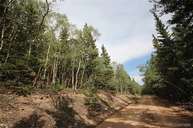 Lot 6573 Ackerman Road San Luis, CO 81152