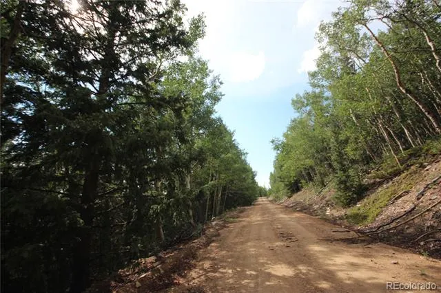 Lot 6573 Ackerman Road San Luis, CO 81152