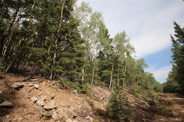 Lot 6573 Ackerman Road San Luis, CO 81152
