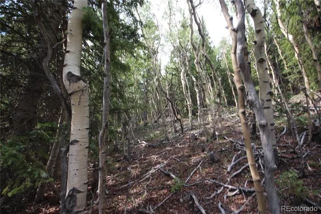 Lot 6573 Ackerman Road San Luis, CO 81152