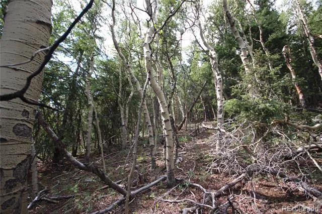Lot 6573 Ackerman Road San Luis, CO 81152