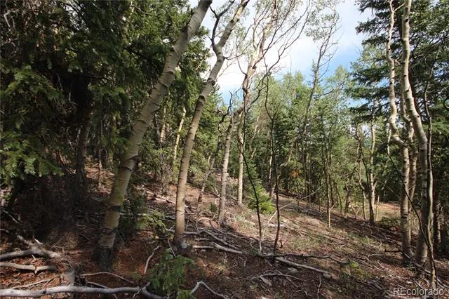 Lot 6573 Ackerman Road San Luis, CO 81152