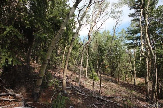 Lot 6573 Ackerman Road San Luis, CO 81152
