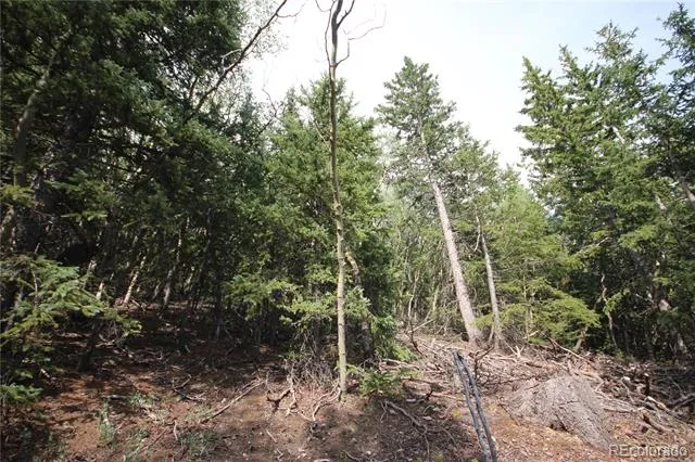 Lot 6573 Ackerman Road San Luis, CO 81152