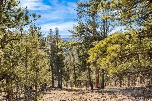 35441 Upper Aspen Lane Pine, CO 80470