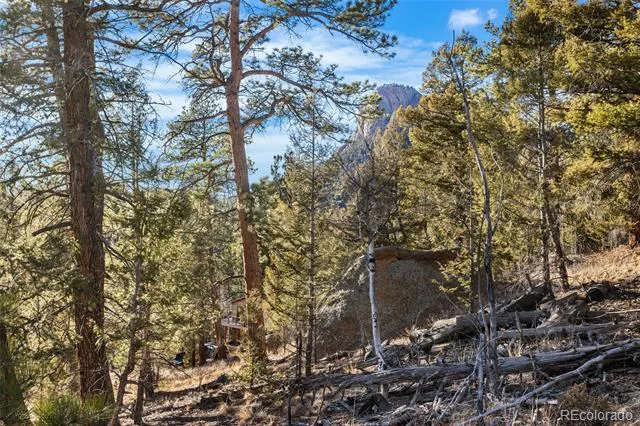 35441 Upper Aspen Lane Pine, CO 80470