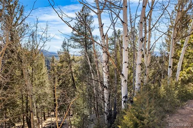 35441 Upper Aspen Lane Pine, CO 80470