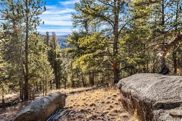 35441 Upper Aspen Lane Pine, CO 80470
