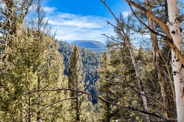 35441 Upper Aspen Lane Pine, CO 80470