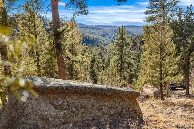 35441 Upper Aspen Lane Pine, CO 80470