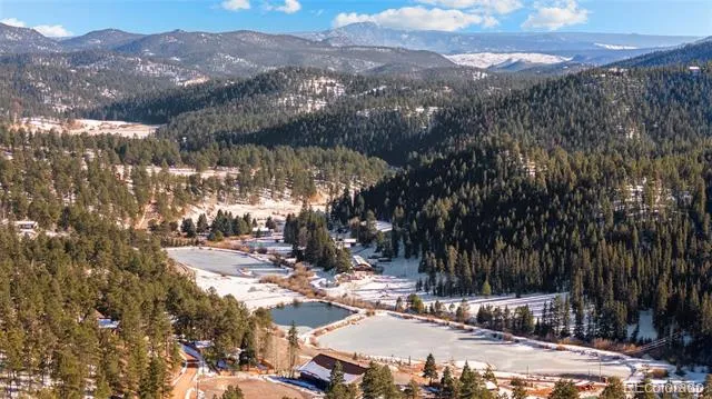 35441 Upper Aspen Lane Pine, CO 80470
