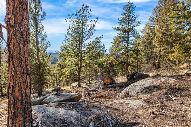 35441 Upper Aspen Lane Pine, CO 80470