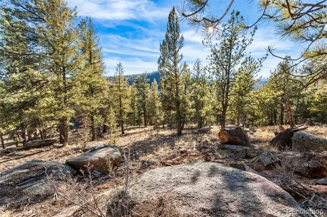 35441 Upper Aspen Lane Pine, CO 80470