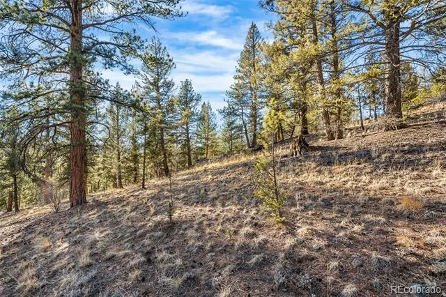 35441 Upper Aspen Lane Pine, CO 80470