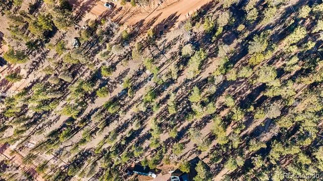 35441 Upper Aspen Lane Pine, CO 80470