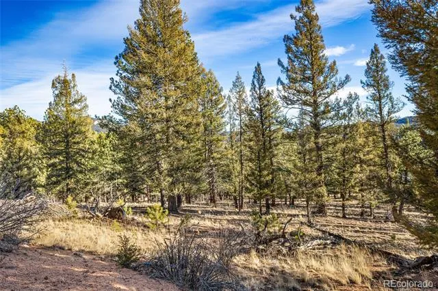35441 Upper Aspen Lane Pine, CO 80470