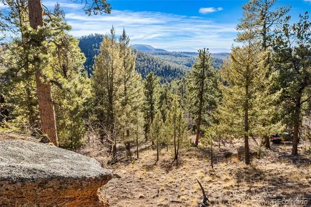 35441 Upper Aspen Lane Pine, CO 80470
